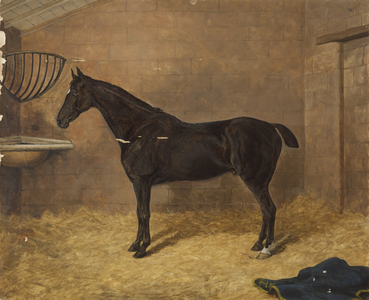 Blackbird, a Dark Bay, in a Stable, 1901 (oil on canvas)