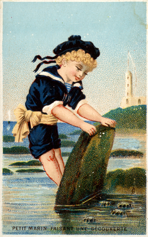 Boy looking under stone on beach (chromolitho)