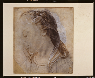 Female head (drawing)