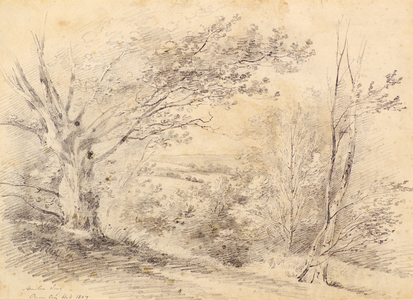 Bromley Hill, 1807 (pencil)