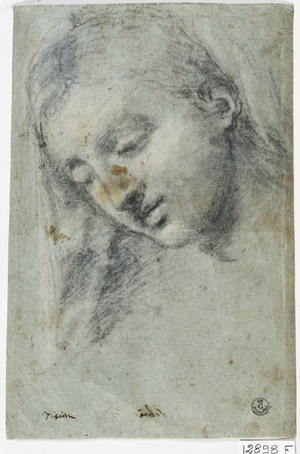 Head of a Woman (charcoal on paper)