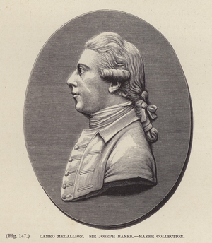 Cameo Medallion, Sir Joseph Banks (engraving)