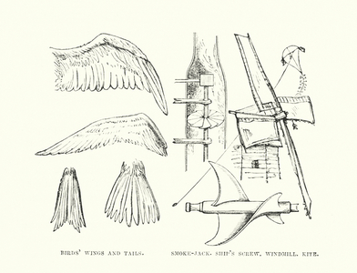 Human invention anticipated: The smoke-jack (engraving)