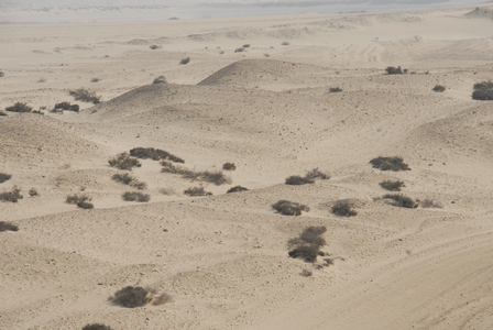 Sinai Desert, Egypt (photo)