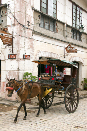 Philippines: Kalesa (horse-drawn carriage) in the Mestizo District, Vigan, Ilocos Sur Province, Luzon Island