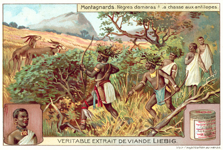 Damaras hunting antelopes (chromolitho)