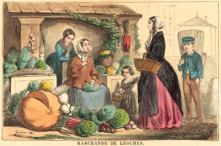 Vegetables (coloured engraving)