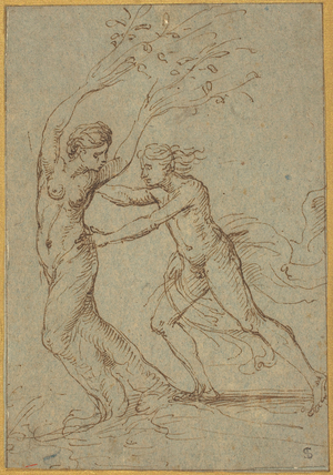 Apollo and Daphne (pen and brown ink on green-blue laid paper)