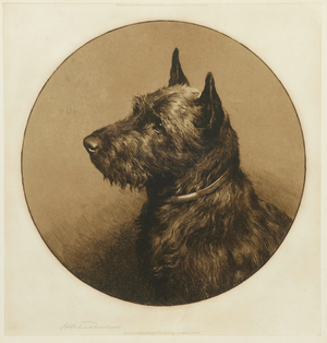 'Who Goes There?' (etching on vellum)