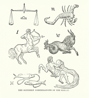 The Southern Constellations of the Zodiac (engraving)