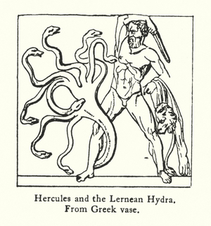 Hercules and the Lernean Hydra, from Greek vase (engraving)