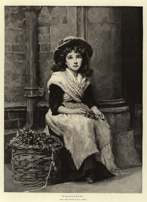 Wallflowers (engraving)