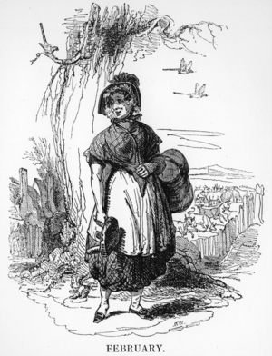 The Shepherd's Calendar, 1848