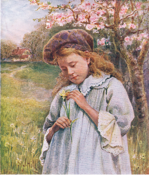 The first daffodils of spring (colour litho)