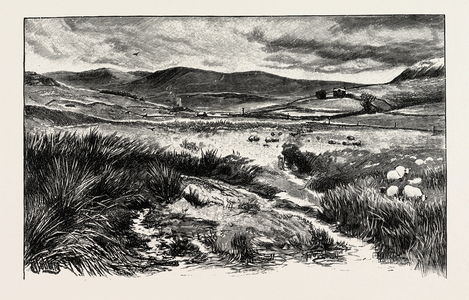 Keilder Moors (with Peel Fell to the Right), UK