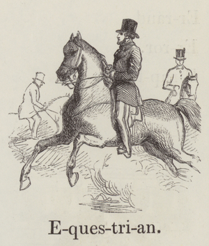 Equestrian (engraving)