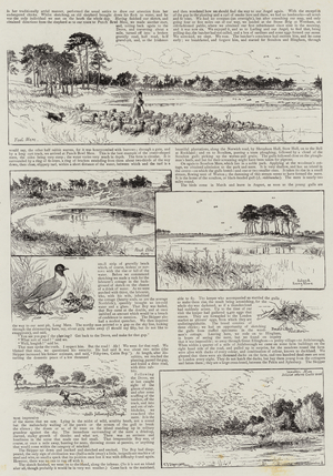 Norfolk Nooks (engraving)