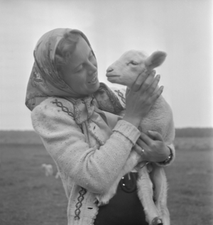 Woman with lamb (photo)