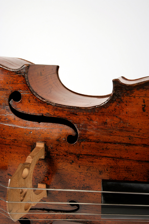 Double Bass detail,