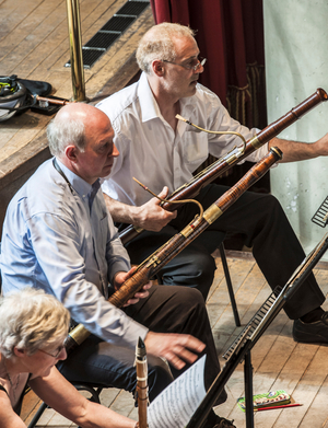 Classical bassoons