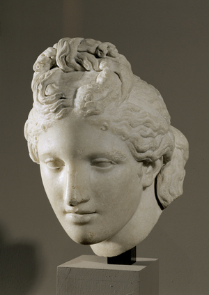 Head of Aphrodite …