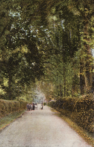 Spencer Road, Ryde (photo)