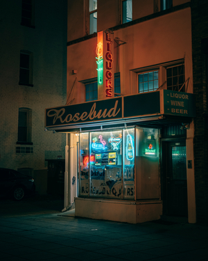 Rosebud Liquor vintage neon sign at night, Washington, District of Columbia, United States, 2023 (photo)