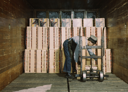 Worker Loading Oranges into Refrigerator Car at a Co-op Orange Packing Plant, Redlands, California, USA, c.1943