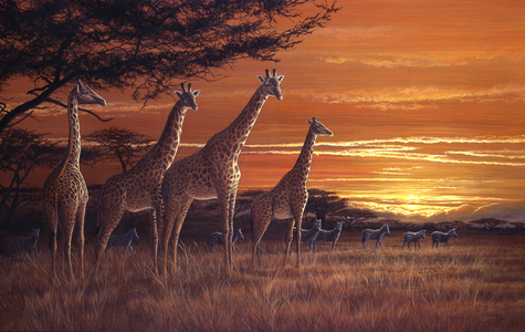 Savannah sundown, 1997 (acrylic on board)