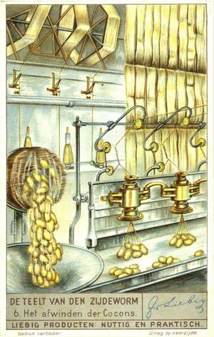 Unwinding silkworm cocoons (chromolitho)