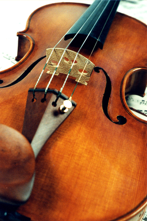 INSTRUMENTS - STRINGS -