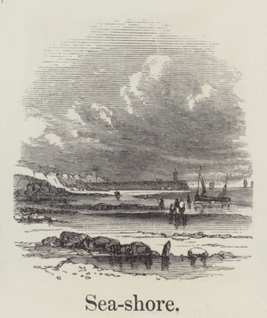 Seashore (engraving)