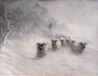 Winter comes with a stormy blast, Bibbys Annual, 1916-1917 (litho)