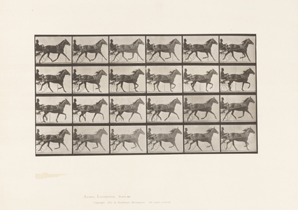 Plate 607. Trotting; Sulky; Bay Mare, Lizzie M., 1885 (collotype on paper)