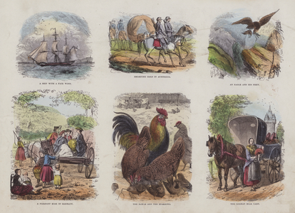 Page from the Attractive Picture Book (coloured engraving)