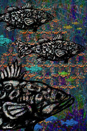 Largemouth bass