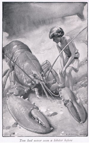 Tom had never seen a lobster before