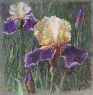 Iris, Tallin park, Estonia, 2000 (pastel)
