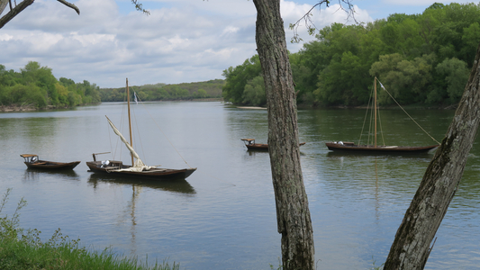 LA LOIRE
