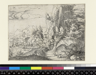 Landscape with a shaded cliff, c. 1517-1520 (etching, black carbon ink on laid paper)