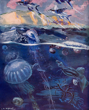 Life in the open sea (colour litho)