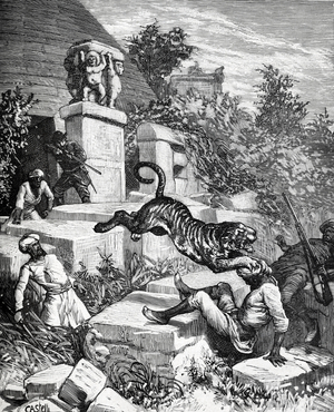 Tiger Hunt in Indochina 1881 (engraving)
