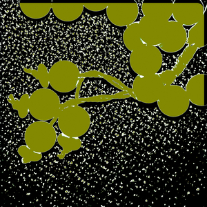 Green Prayer Beads, from the series Misbaha, 2016 (photograph)