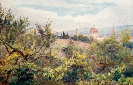 Florence (colour litho)