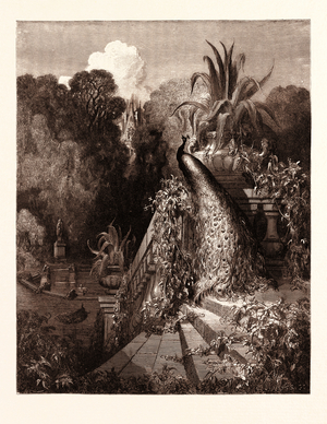 The Peacock Complaining to Juno, by Gustave Doré, 1832 - 1883, French. Engraving for Fables by Jean De La Fontaine. 1870, Art, Artist, Romanticism,Colour, Color Engraving