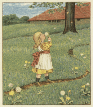 Dandelion seeds (colour litho)