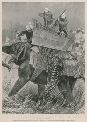 The Prince of Wales on a tiger hunt during his visit to India, 1876 (photogravure)