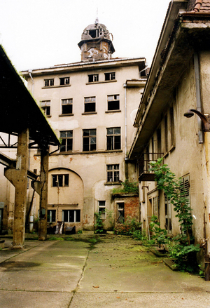 Former Lahmann Sanatorium in Dresden Weisser Hirsch..., 1994 (photo)