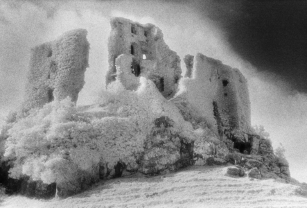 Carriogunell Castle, Clarina, County Limerick, Ireland (b/w photo)