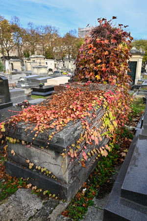 Tomb with Ivy Montparnasse Cemetery, Paris XIV, Ile de France, France (photo)